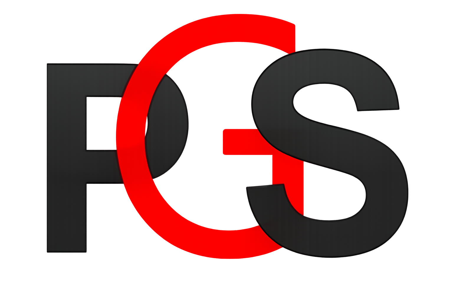 PGS India Private Limited
